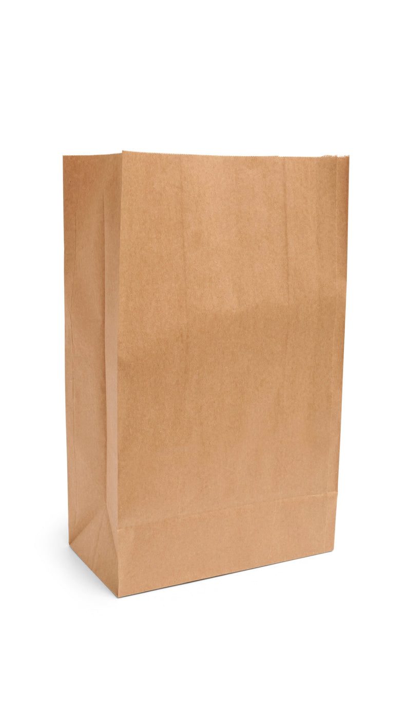 Large (Deep) 21lb Kraft Paper Grab Bags - 125pk — Eco Supplies